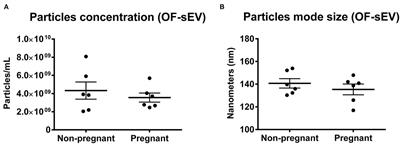 Changes in Oviductal Cells and Small Extracellular Vesicles miRNAs in Pregnant Cows